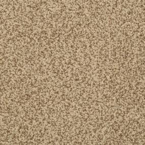 Cozy - Mesa Swatch