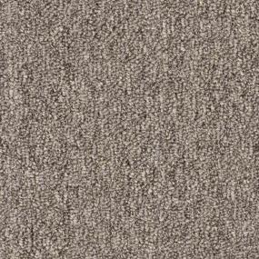 Flicker - Wild Deer Swatch