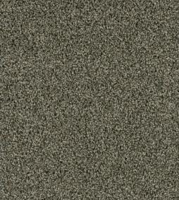 Cce 225 - Midnight Shadow Swatch