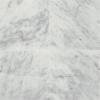 Carrara White Honed