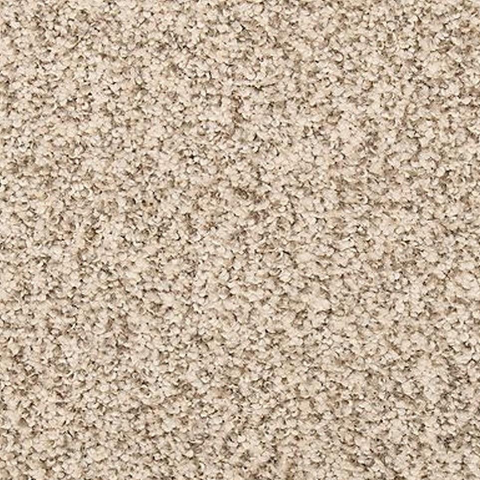 Blanched Almond Zoomed Swatch