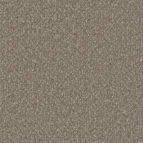 Acorn Zoomed Swatch