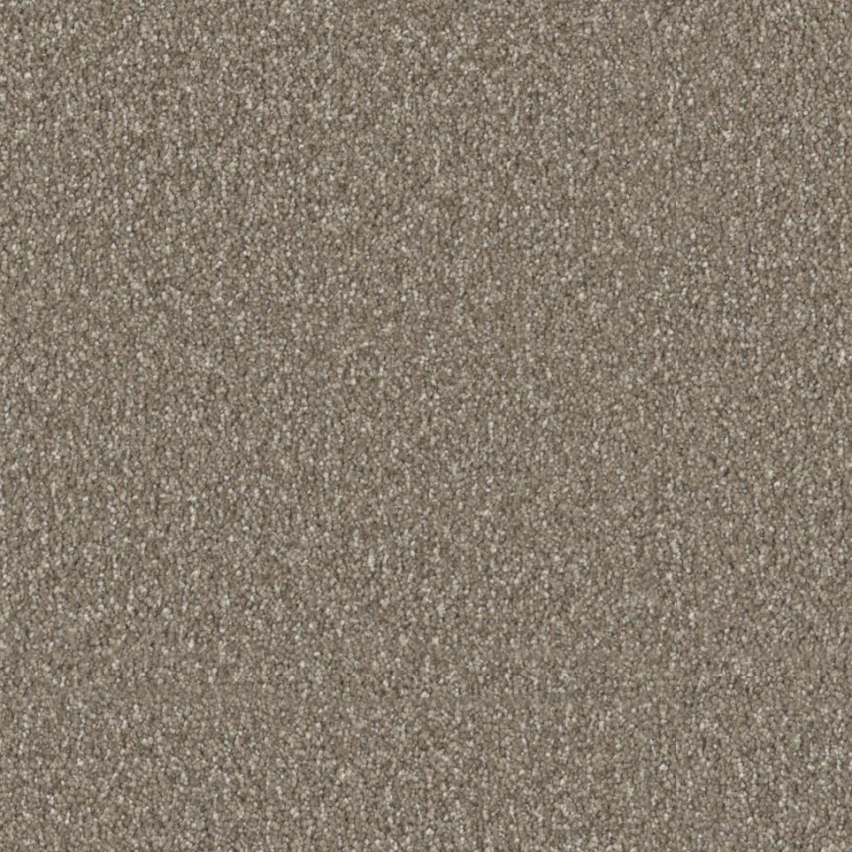 Acorn Zoomed Swatch