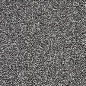 Whimbrel Tonal - Rushmore Swatch