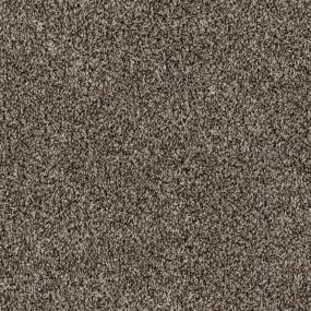 Mountain Sheep Zoomed Swatch