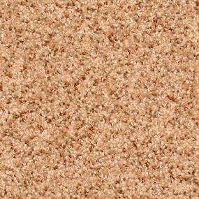 Treasured Moment - Pepper Spice Swatch