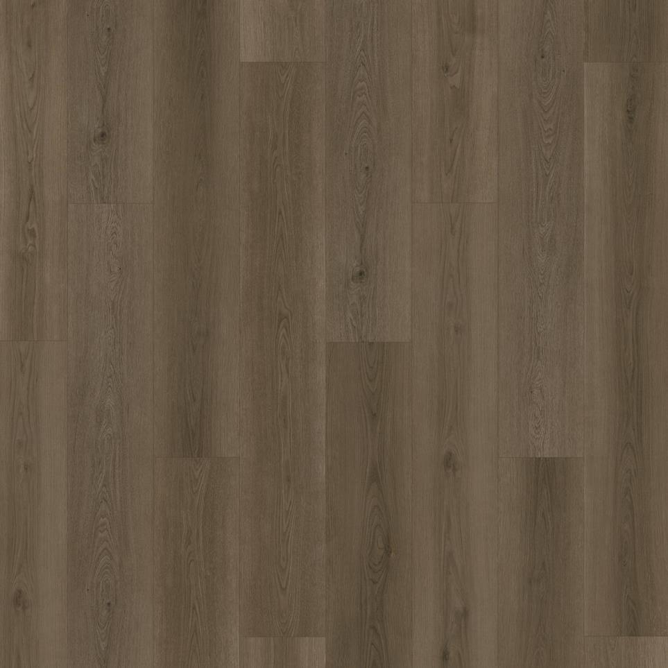 Hamilton Grove - Vinyl Tile - 9  X 60 - 8 Per Case by Pergo - Barron