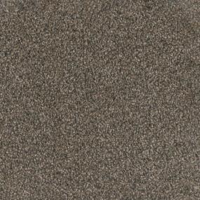 Trendsetter I - Imperial Sable Swatch