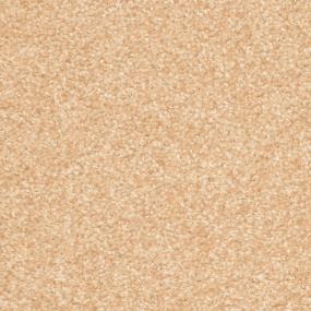 Treasured Moment - Tawny Birch Swatch