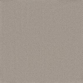 Buttermilk Swatch