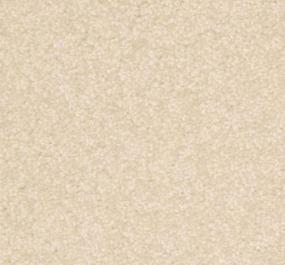Treasured Moment - Water Chestnut Swatch