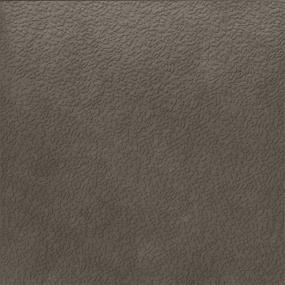 Gray Swatch Thumbnail