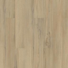 Dodwell Oak Swatch