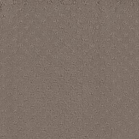 Spirit Zoomed Swatch