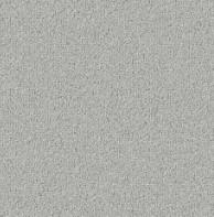 Promenade - Coconut Swatch