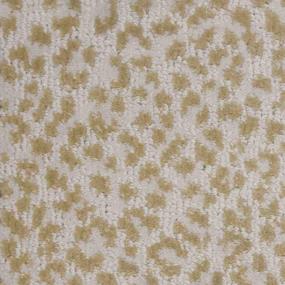 Golden Zoomed Swatch