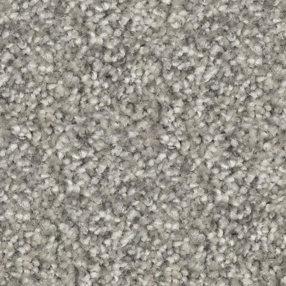 Enjoy The Ride Zoomed Swatch