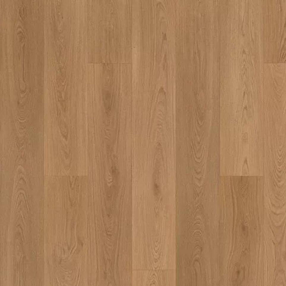 Baylor Zoomed Swatch