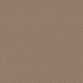 Stoain State - Safari Swatch