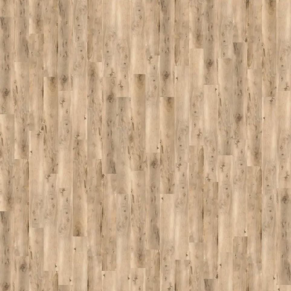 Longboards Icons Spc Vinyl Plank