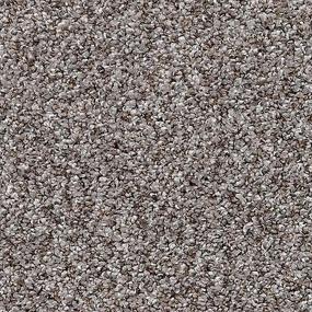 Dove Wing Zoomed Swatch