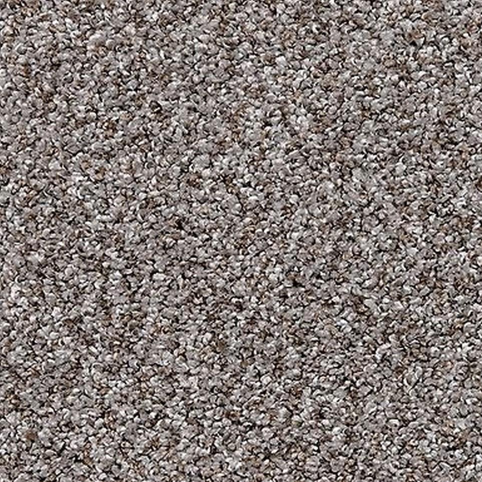 Dove Wing Zoomed Swatch