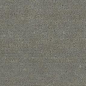Silver Zoomed Swatch