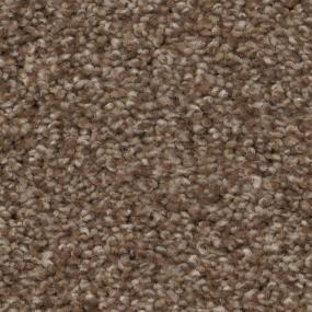 Raw Wood Zoomed Swatch