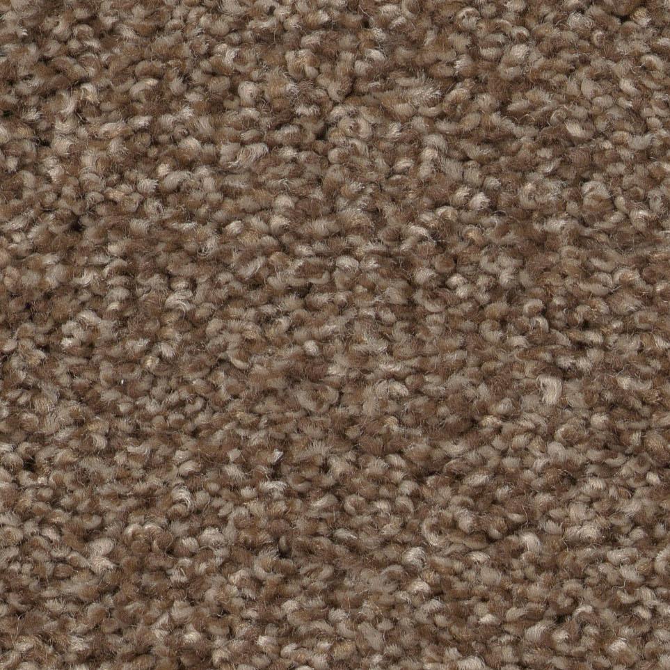 Raw Wood Zoomed Swatch
