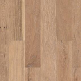 Aston Hall - Sovereign Swatch
