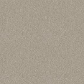 New Tradition Swatch