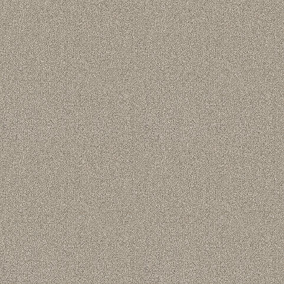 New Tradition Swatch