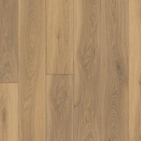 Sierra Zoomed Swatch