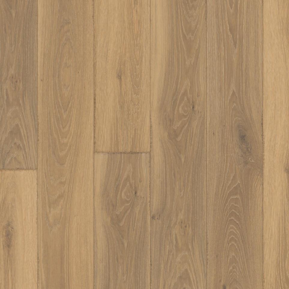 Sierra Zoomed Swatch