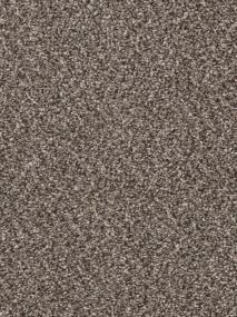 Sweepstakes - Ironside Swatch