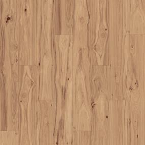Clove Hickory Swatch Thumbnail