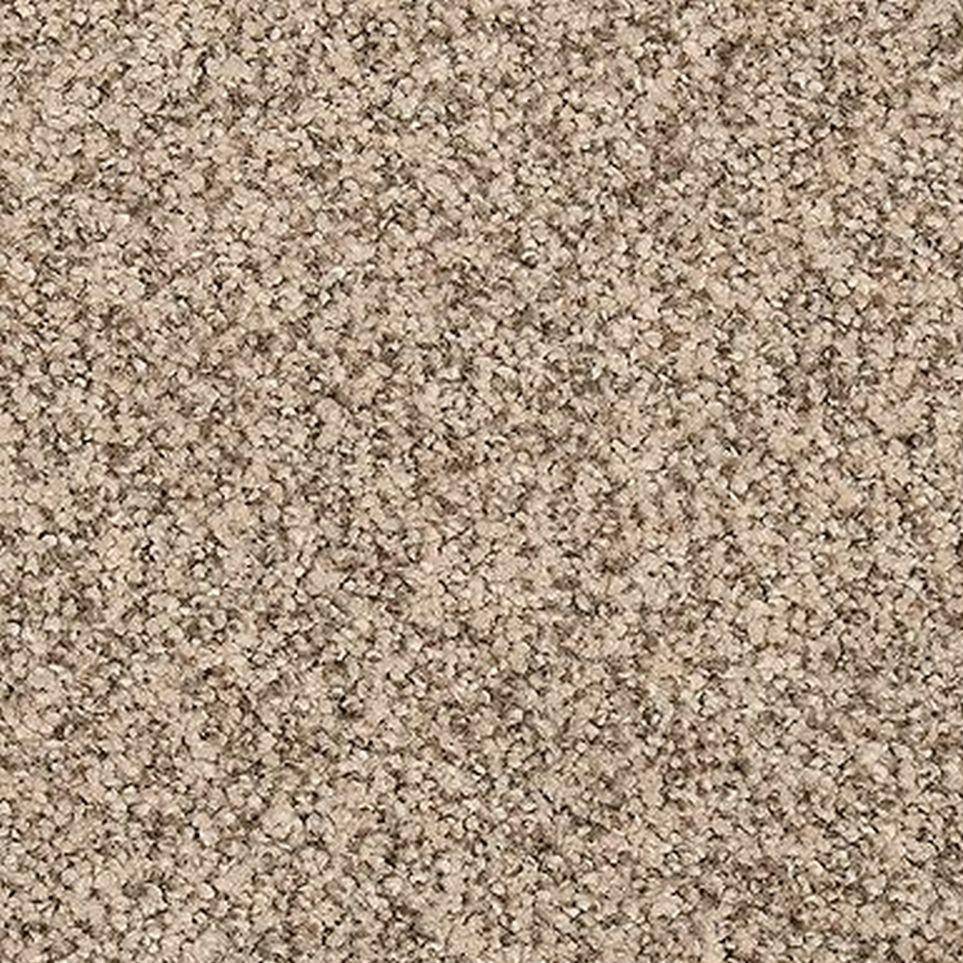 Pale Taupe Zoomed Swatch