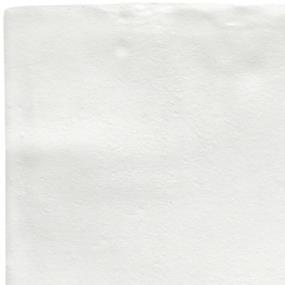 White Zoomed Swatch