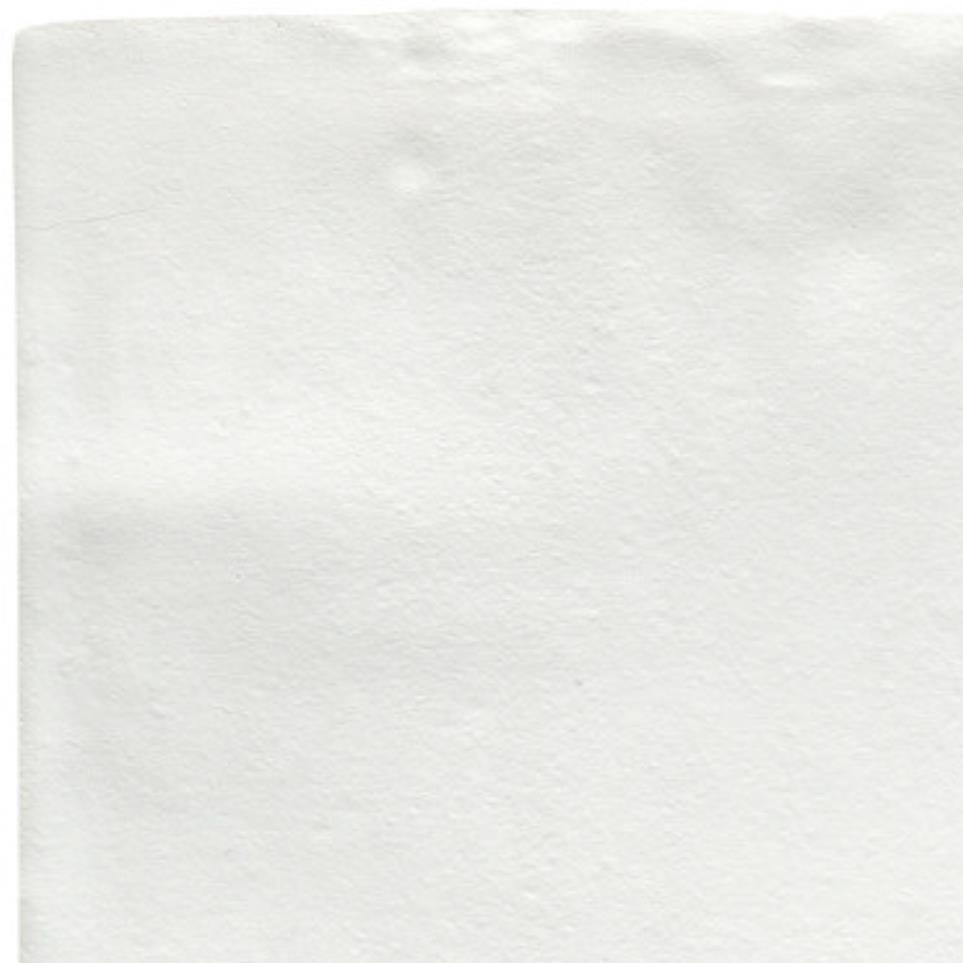 White Zoomed Swatch
