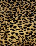 Kaplani - Agile Cheetah Swatch