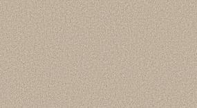 Camp Trail I - Mojave Swatch