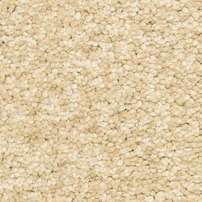 Bermuda Sand Zoomed Swatch