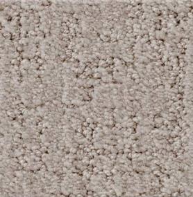 Shadow Colossal - Castle Wall Swatch