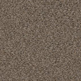 Antelope Run - Pine Cone Swatch