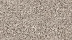 Spacious Solid - Camelot Swatch