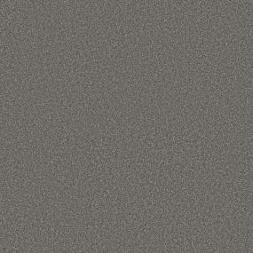 Charcoal Swatch