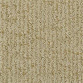 Cape Cod - Curry Swatch