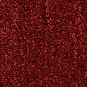 Cape Cod - Very Berry Swatch