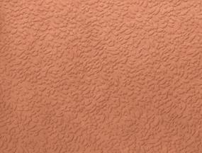 Coral Swatch Thumbnail