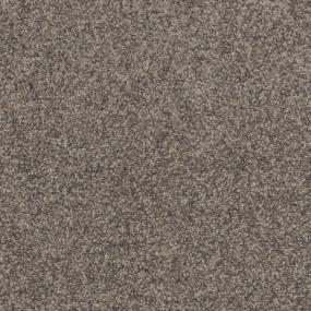 Raleigh Zoomed Swatch